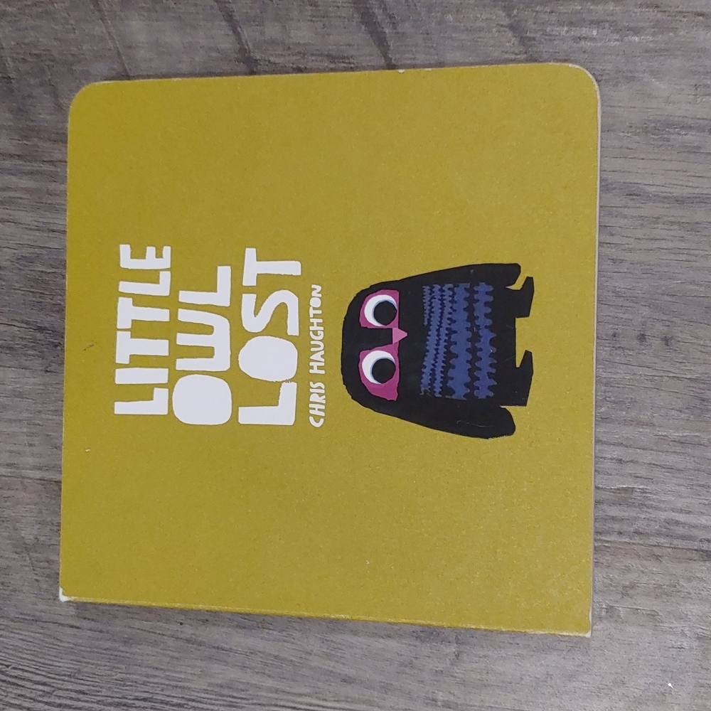 Little Owl Lost by Chris Haughton Board Book